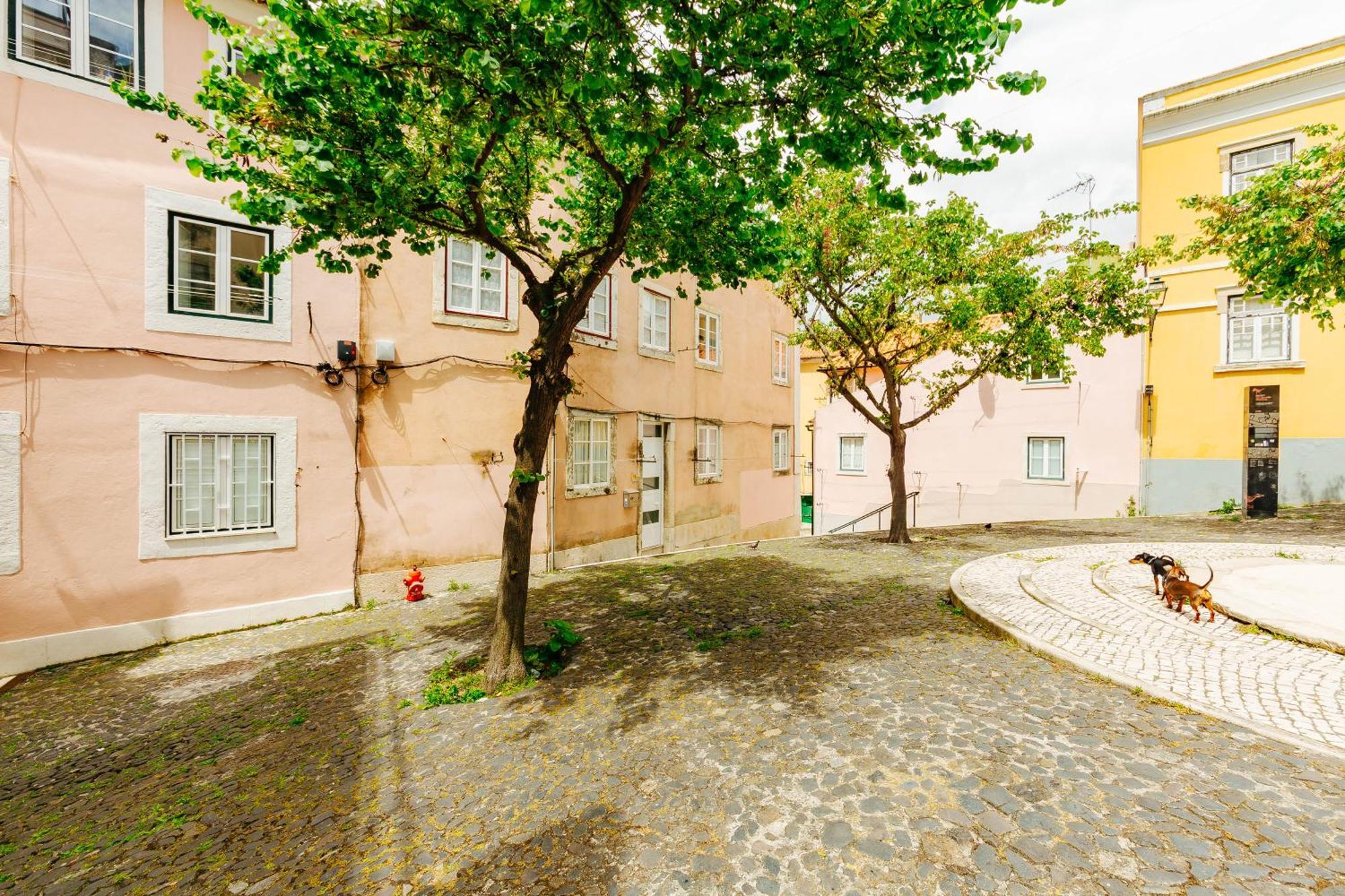 Rent4Rest Lisbon Downtown Tiny Studio Apartments 外观 照片